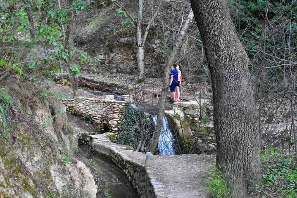 Hiking Through The Plain Of The Partridge