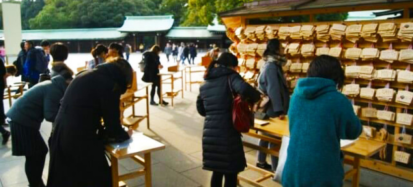 Private Tokyo Half-Day Tour by Chartered Vehicle