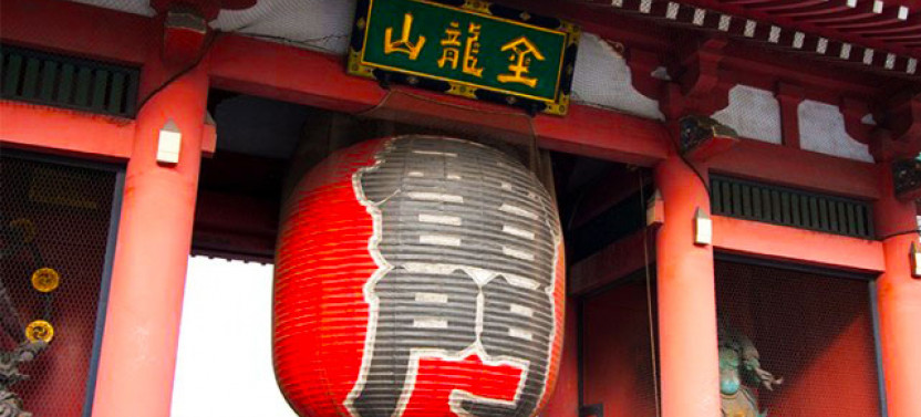 Private Tokyo Half-Day Tour by Chartered Vehicle