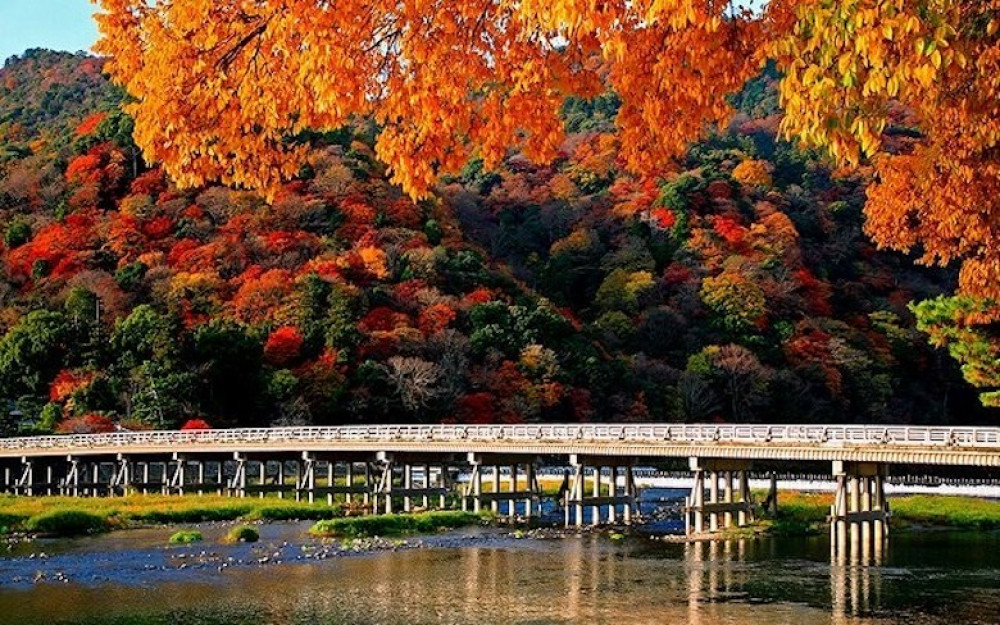 Private Kyoto Arashiyama Half-Day Tour by Chartered Vehicle