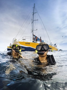 Palm Pleasure Catamaran Snorkel Adventure at Antilla Shipwreck
