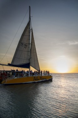 Palm Pleasure Sunset Catamaran Sail
