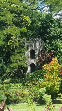 St Kitts Rainforest Nature Tour
