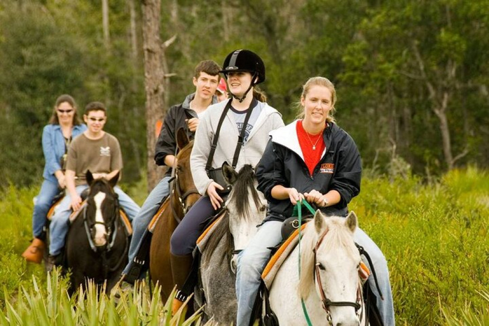 4-Hour Kemer Horse Riding Tour For Animal Lovers