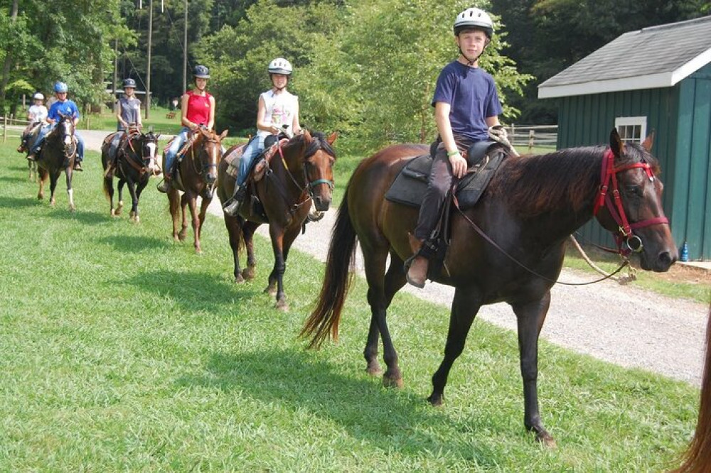 3-Hour Horse Riding In Alanya