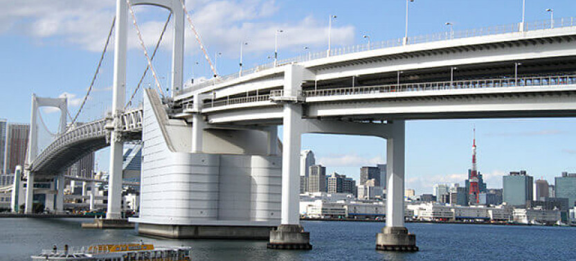 1 Day Panoramic Tokyo Bus Tour With Bay Cruise