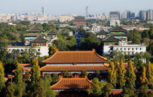 Wikibeijing Private Tour9