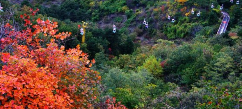 Boutique Tour: Tiananmen Square, Forbidden City & Mutianyu with Vip Pass