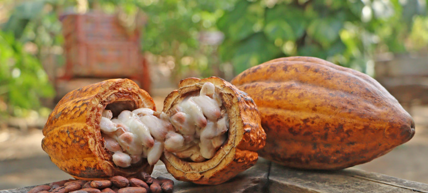 Costa Rica Cultural Experience Tour