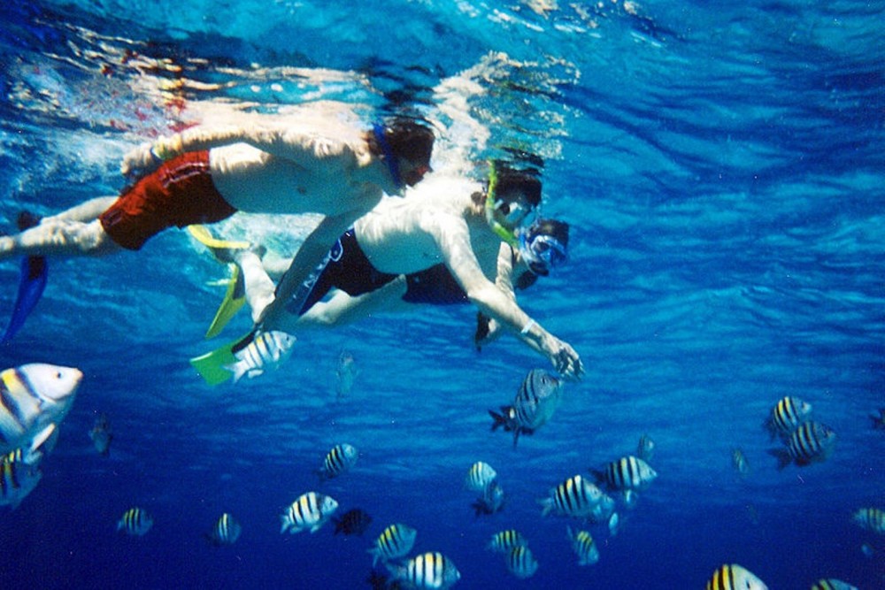 snorkel cozumel from playa del carmen