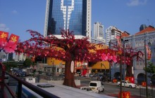 City Sightseeing Worldwide221