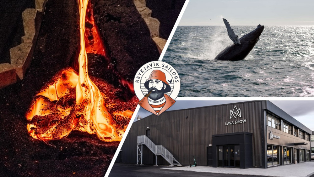 Lava Show & Whale Watching Experience From Reykjavik