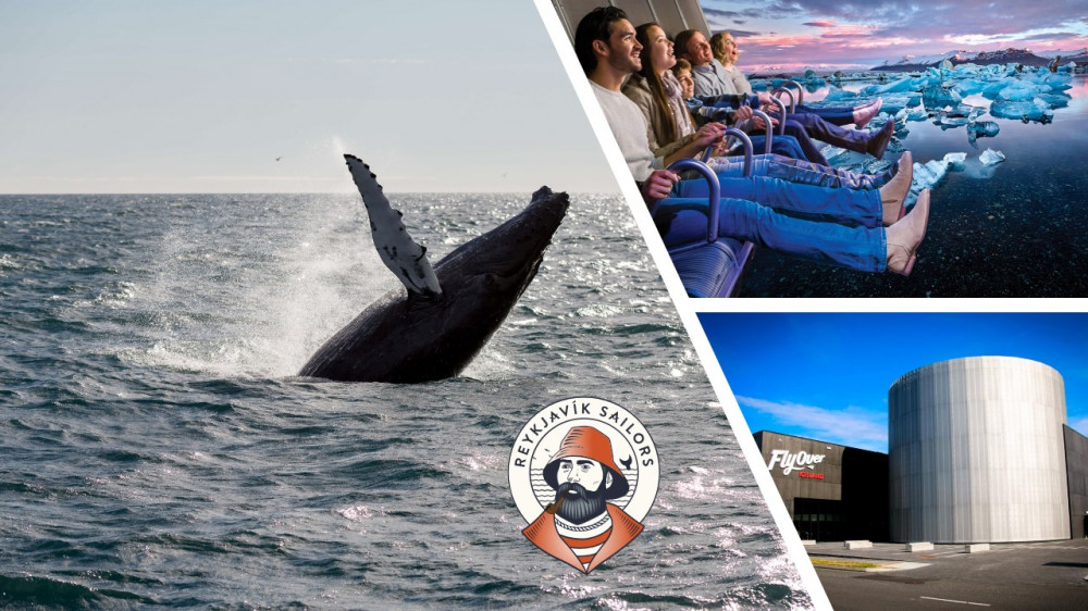 Whale Watching & FlyOver Experience