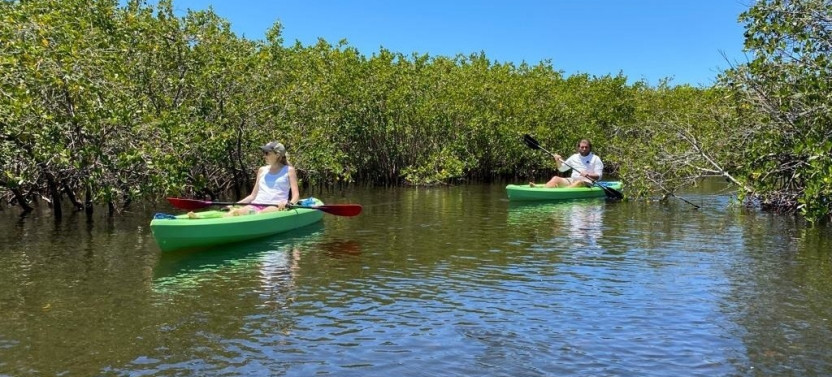 Tarpon Springs Guided Kayak Eco Tour