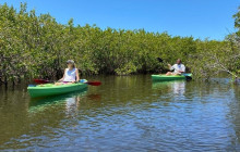 River Wild Kayaking2