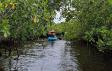 River Wild Kayaking3