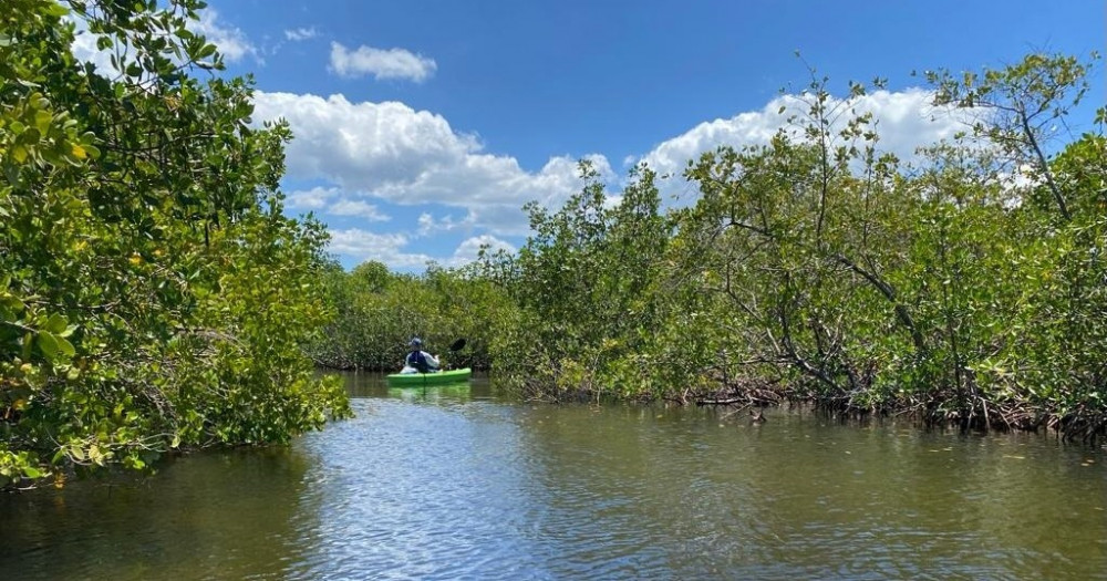 River Wild Kayaking