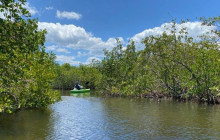 River Wild Kayaking5