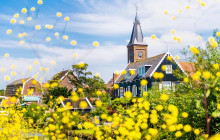 Countryside & Windmills & Edam - All-in