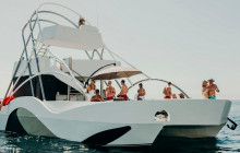 Pelican Cabo1