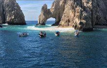 Pelican Cabo2
