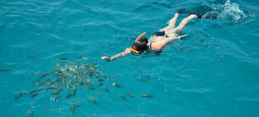 Catamaran Cruise With Transfers From Montego Bay