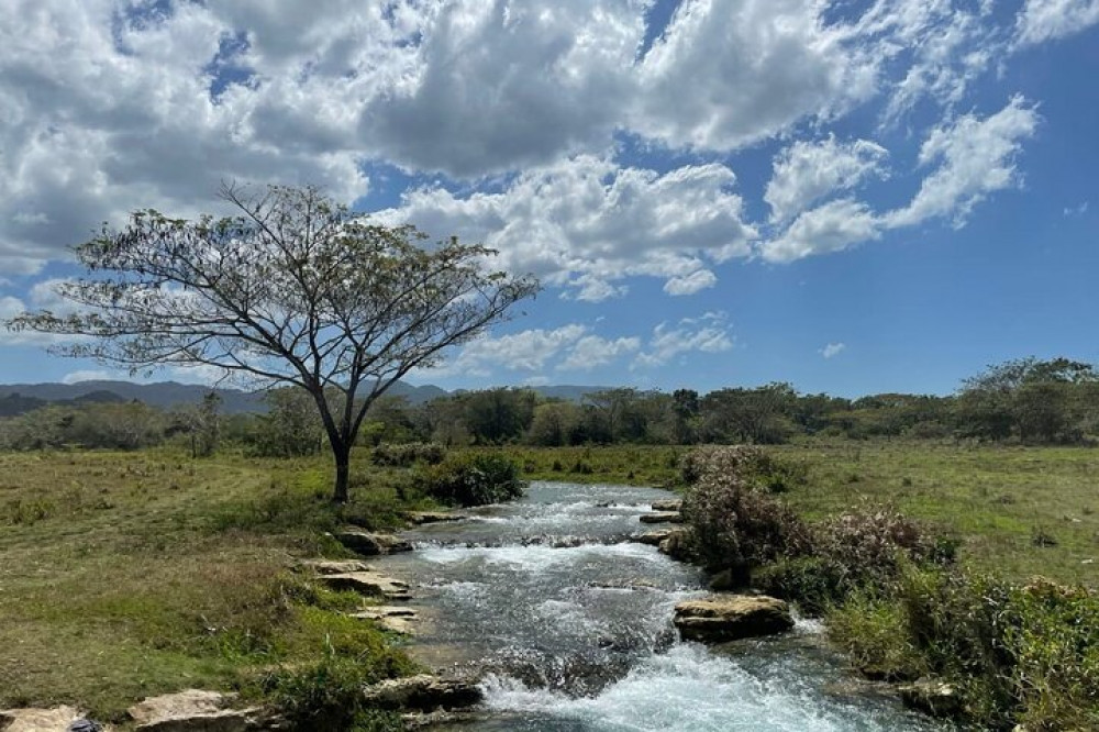 Rastafari Experience in an ATV from Montego Bay with Lunch