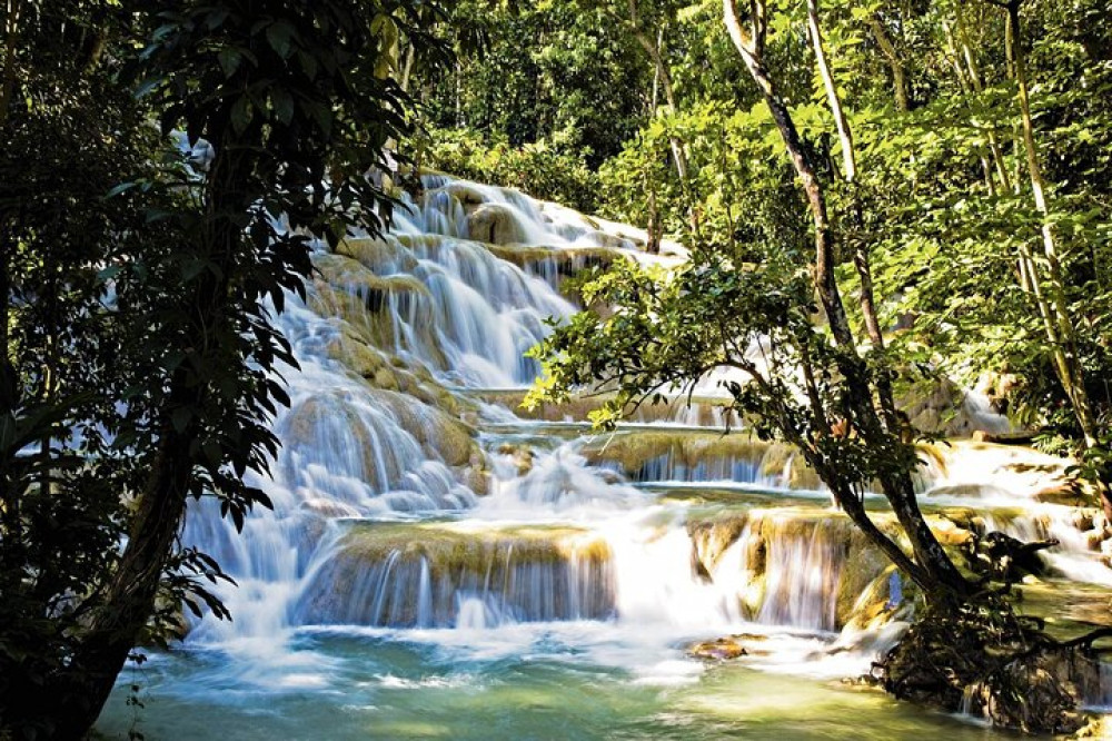 Dunn's River Falls Tour From Montego Bay Transfers