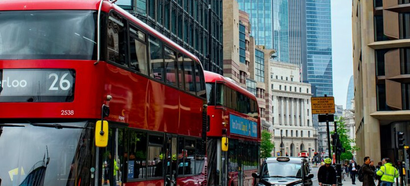 Half-Day Custom London Tour With Local Guide