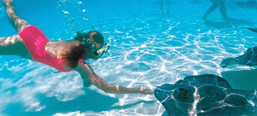 Stingray City and Reef Snorkeling Adventure on Grand Cayman