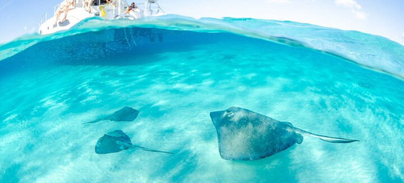 Stingray City and Reef Snorkeling Adventure on Grand Cayman