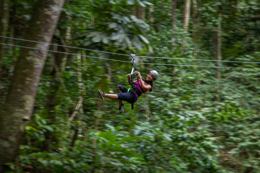 St Lucia Ultimate 3 Package: Aerial Tram, Zipline and Hiking - Castries ...