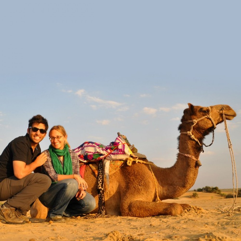 Camel Riding Safari Dubai Dubai Project Expedition