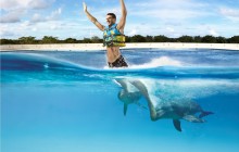 Dolphin Royal Swim: Punta Cana with Transfers