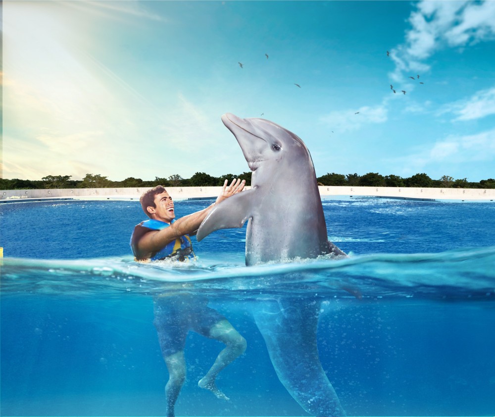 swimming with dolphins punta cana tours