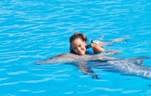 Dolphin Swim Adventure: Punta Cana with Transfers