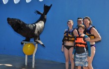 Dolphin Royal Swim: Puerto Vallarta