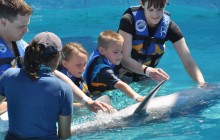 Dolphin Royal Swim: Puerto Vallarta