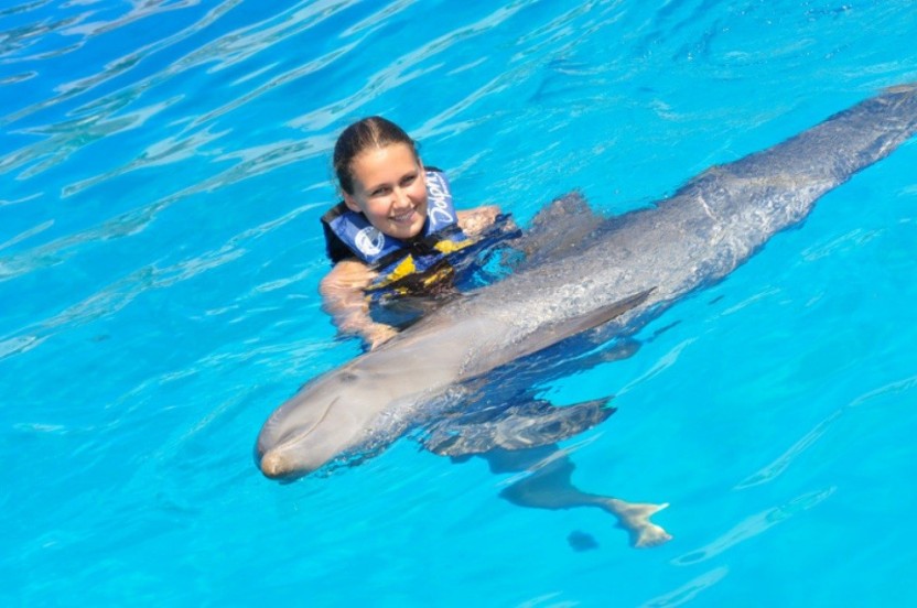 Dolphin Emotions + Water Park Admission: Puerto Vallarta