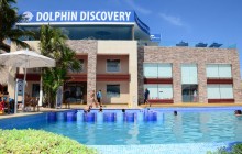 Dolphin Encounter: Isla Mujeres