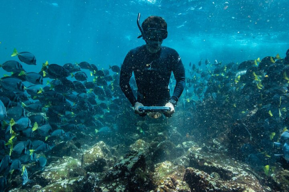 Metropolitan Touring