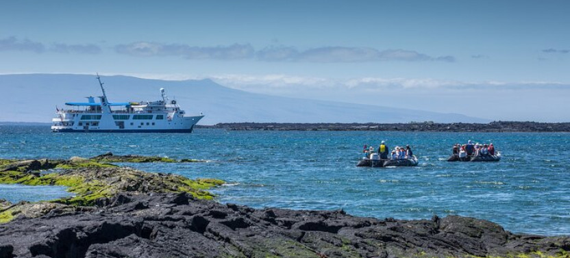 Yacht Isabela II Seabird Sanctuary Expedition (Mon - Fri)