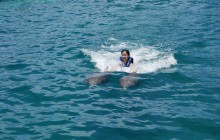 Dolphin Royal Swim: Isla Mujeres