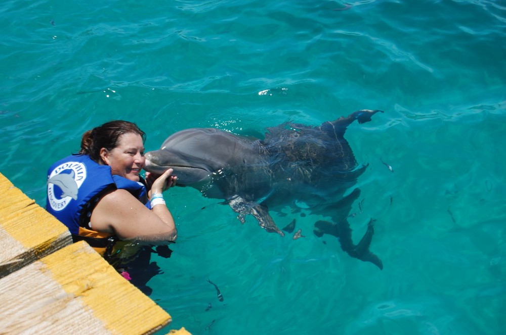 Dolphin Royal Swim Isla Mujeres Isla Mujeres Project Expedition