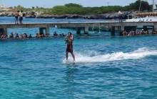 Dolphin Royal Swim: Isla Mujeres