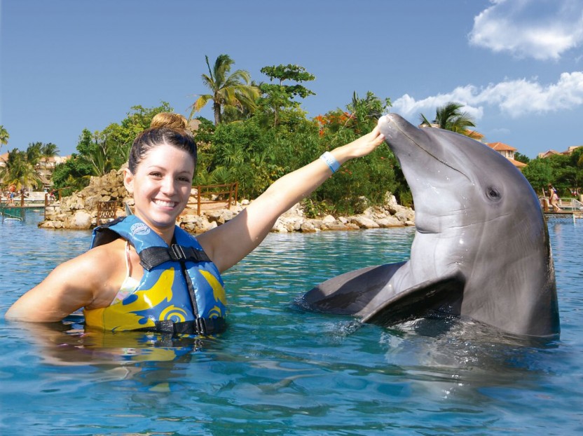 Dolphin Swim Adventure: Dreams Puerto Aventuras