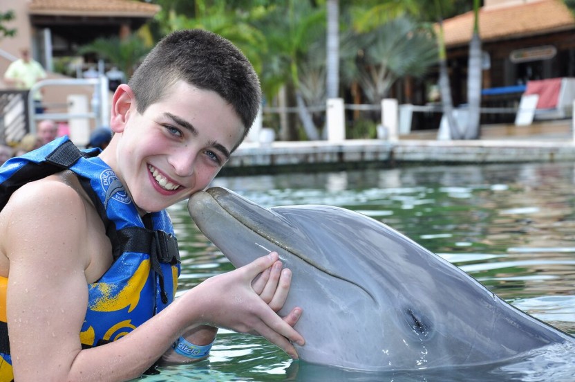 Dolphin Encounter: Dreams Puerto Aventuras