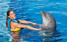 Dolphin Royal Swim: Tulum Akumal