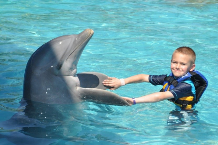Dolphin Swim Adventure: Ocho Rios