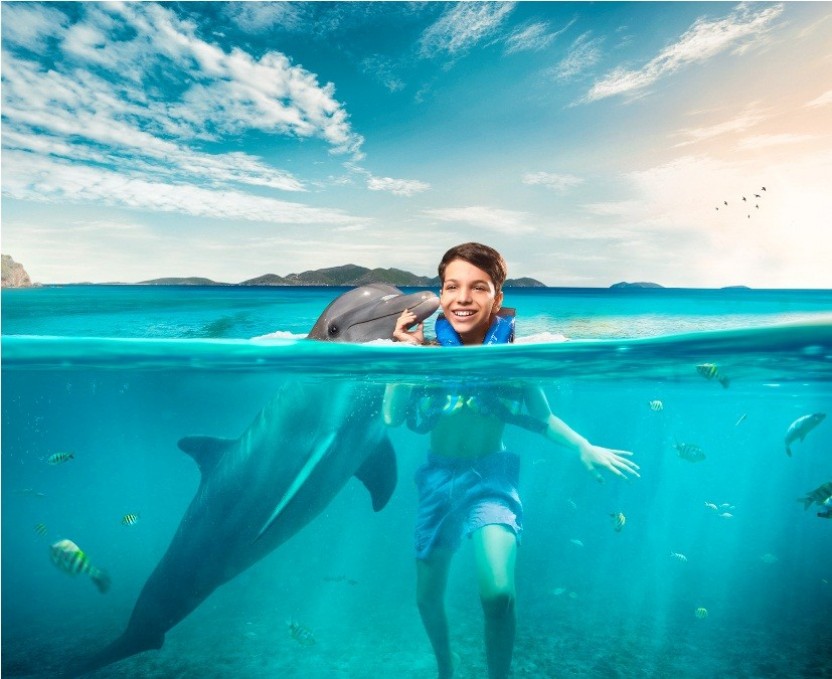 Dolphin Swim Adventure: Montego Bay
